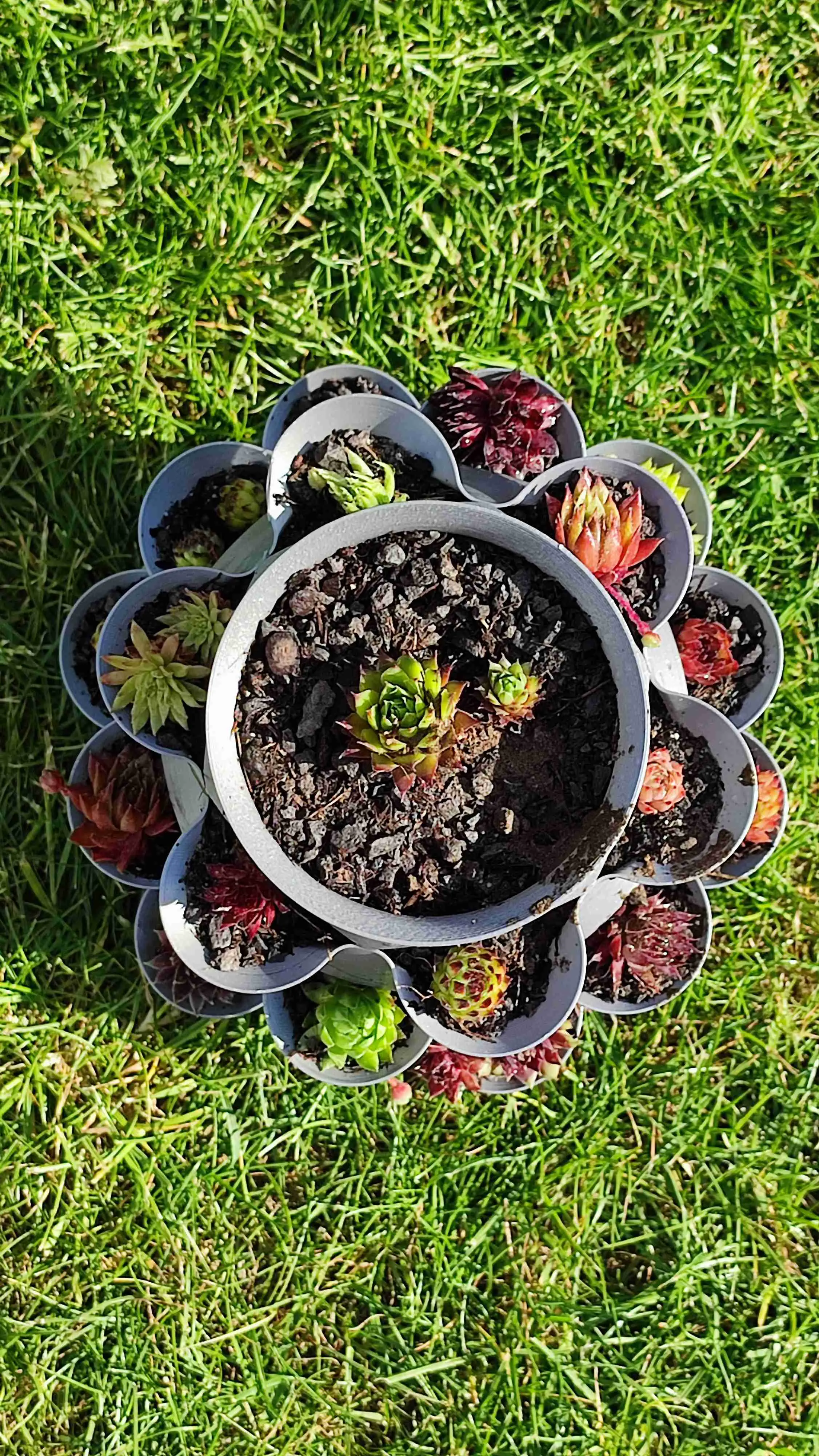 Planter Tower - Vasenmodus mit verschiedenen Varianten spiralisieren!