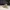 Capybara Low Poly su Coccodrillo Addormentato