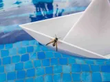 Floating paper boat-5