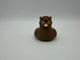 Beaver Duck-6