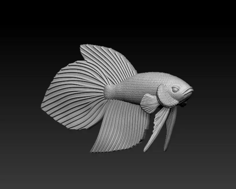 PESCE BETTA CODA DI VELO - PRONTO PER LA STAMPA 3D