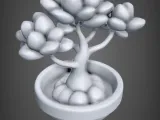 Bonsai Tree -2