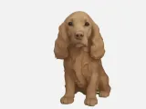 Cachorro Cocker-2
