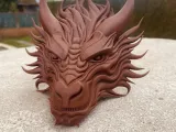 Dragon Head-4