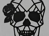 Skull 2 2D-0