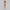 Aurielle Grace – Champagne Silk Edition