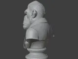 Bored Ape Bust 3D STL Printable 3D Model STL 3D print model-1