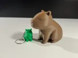 Cute Capybara-2