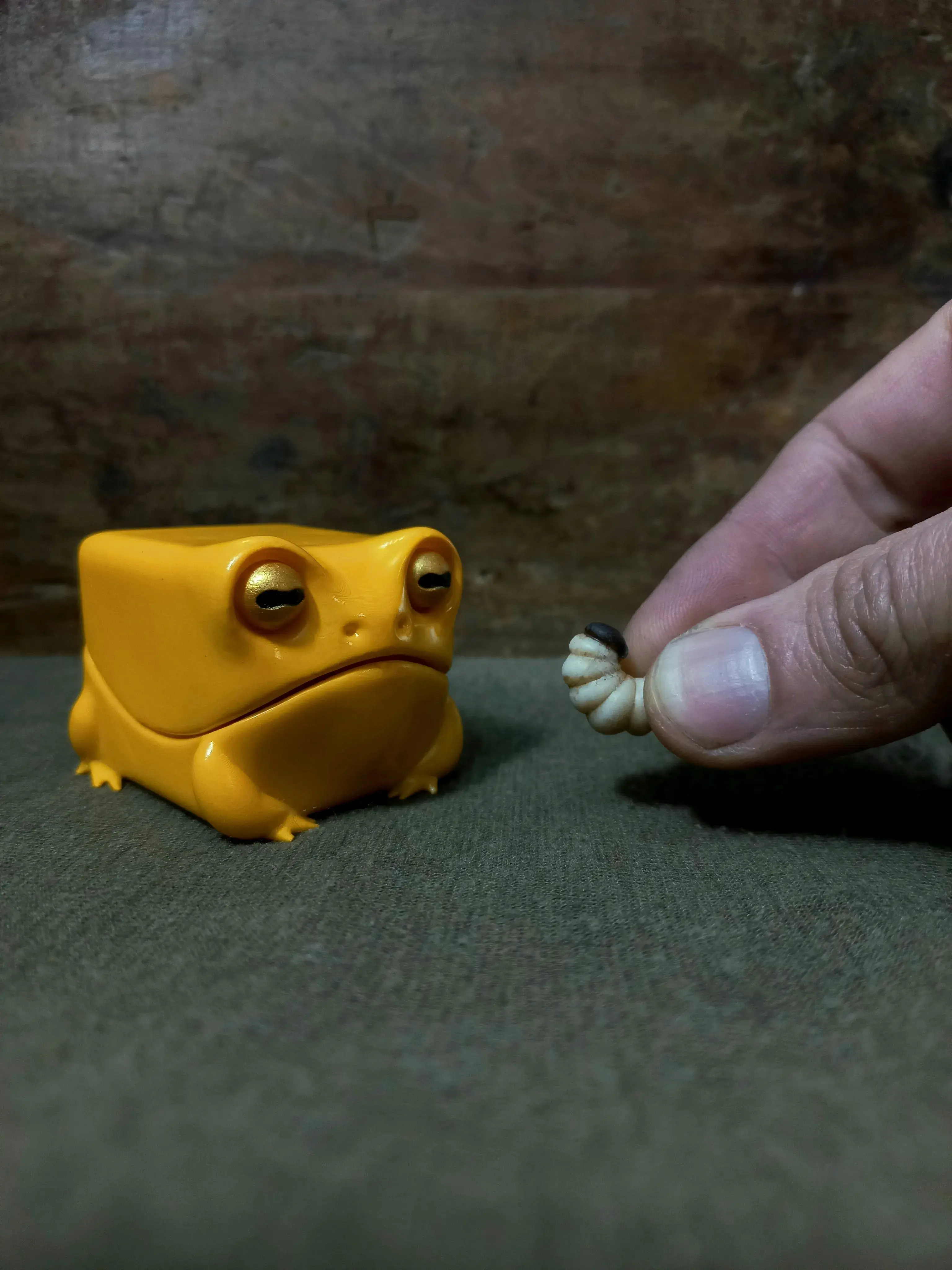 Feed the Frog