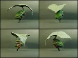 Green Tree Frog with Leaf Umbrella 3D Model-7