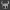 The Knight From Hollow Knight