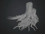 Tree 01-4