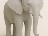 Elephant -4