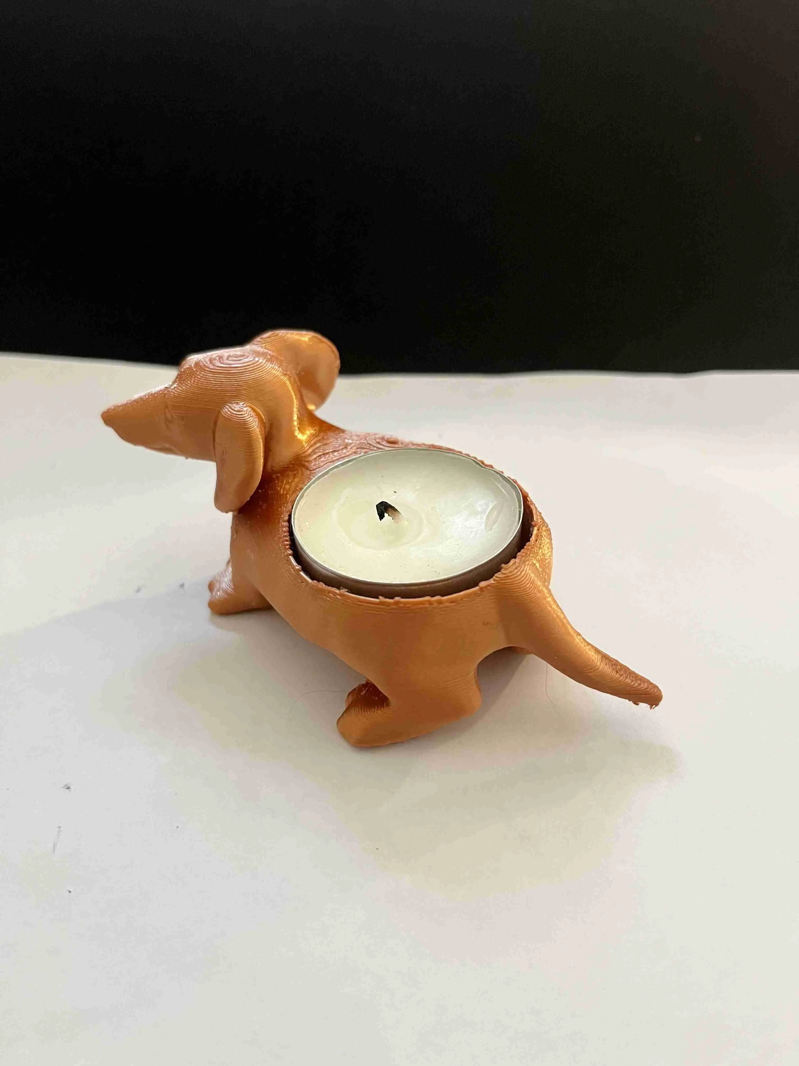 Dog candle