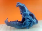 Wolf Skull-2