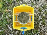 Bird house-4