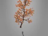 MINIATURE TREE-1