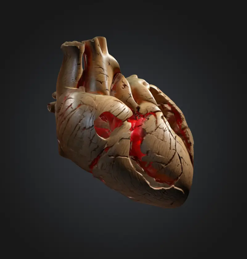 Broken Heart Human🫀💔