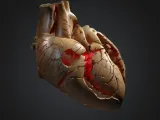 Broken Heart Human🫀💔-2