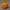 Abóbora 3D Fofa para o Halloween