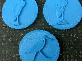  Bird Coin Experiments  