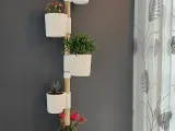 Wall mounted plant stand-1