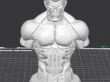 PUNISHER BUST-2