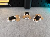 Cute Dog-2