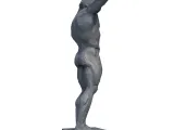 Bodybuilder Low Poly - 3D Model-5
