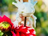 FLEXI BABY AXOLOTL-7