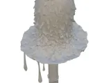 COPRINUS COMATUS-3
