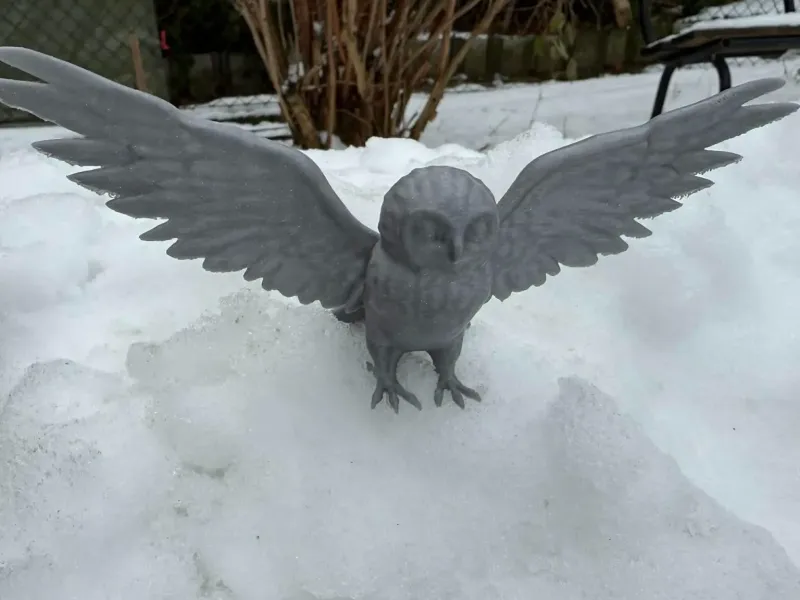 Schneeeule mit ausgebreiteten Flügeln