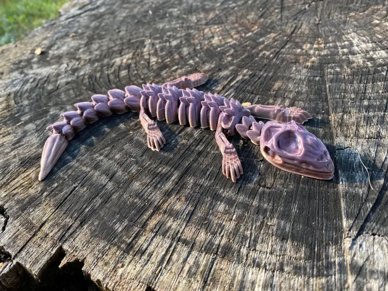 Dead Lizard