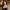 chica en sosten/ girl in bra