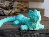 Ferret-2
