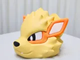 MANDO ARCANINE - POKEMON-3