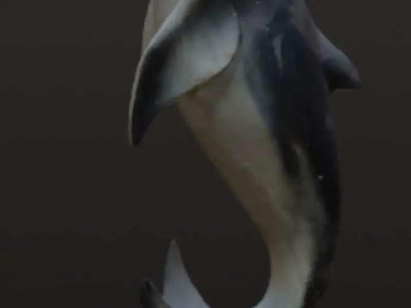 jumping dolphin statue 