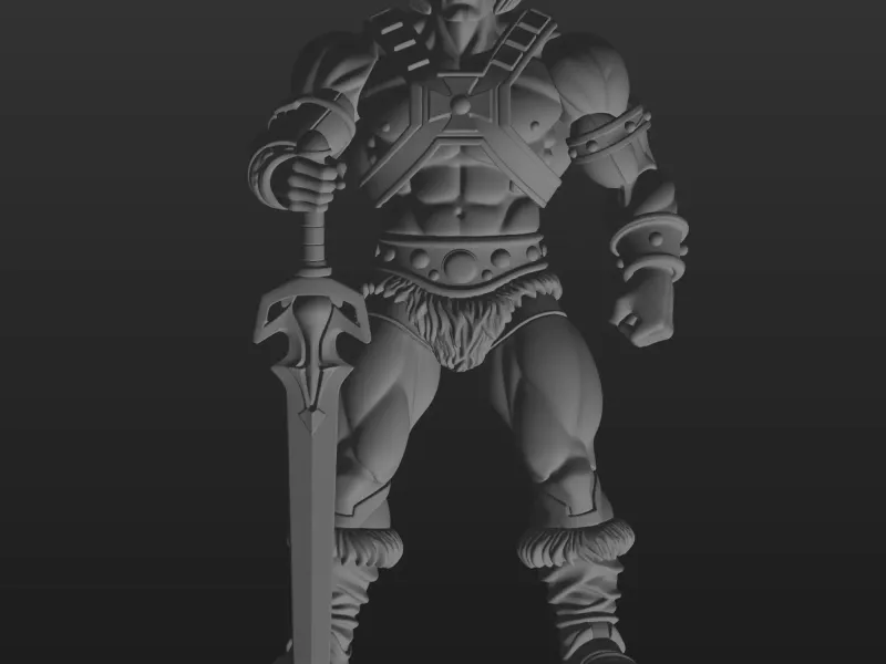 heman model