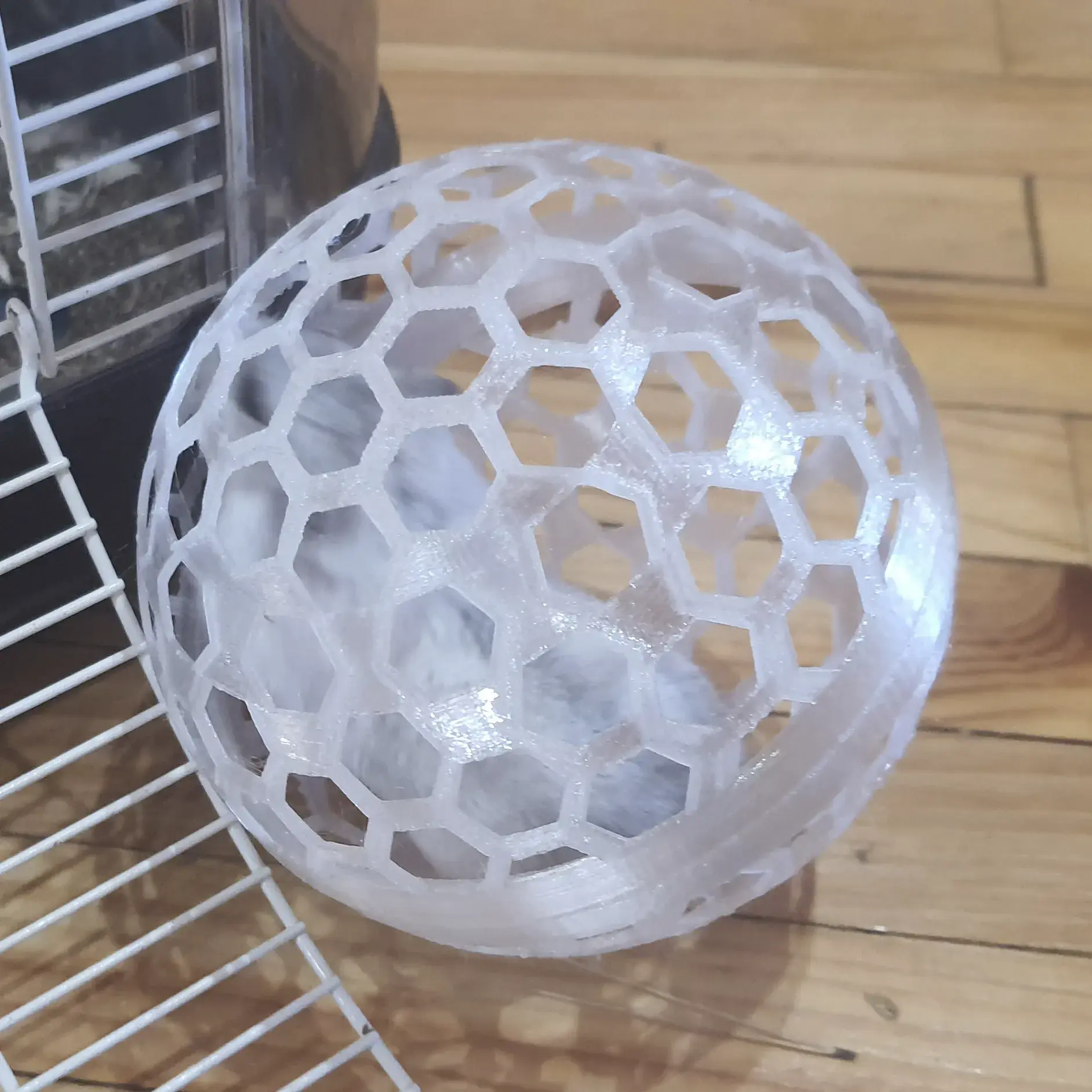 Hamster ball