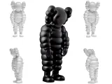 Kaws What Party Art Toy Fan Art-0