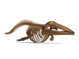 Fin Whale Skeleton – Massive Realistic Marine Animal 3D Mode-5
