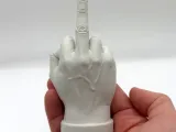 Декор "Средний палец"-0