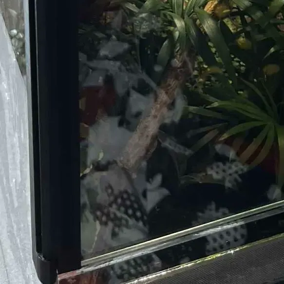 Terrarium Door Hinge