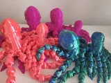 Flexi Octopus-4