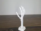 Skeleton Hand-1
