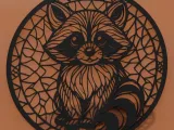 racoon-1