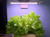 Donut Hydroponic Light Frame-3