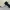 3D MODEL OF TT PIT VIPER PISTOL HOLDER & HOLSTER