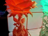 Cathedral Rose Lamp-2