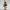 🌲 MERRY ROOTSTER – CUTE 3D PRINTED TREE STUMP PLANTER